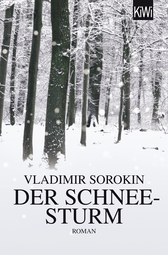 Buchcover von Der Schneesturm: Roman von Vladimir Sorokin