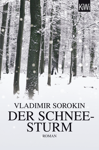 Buchcover von Der Schneesturm: Roman
