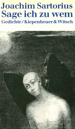 Buchcover von Sage ich zu wem: Gedichte von Joachim Sartorius