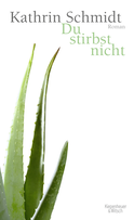 Buchcover von Du stirbst nicht: Roman von Kathrin Schmidt