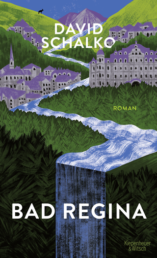 Buchcover von Bad Regina: Roman