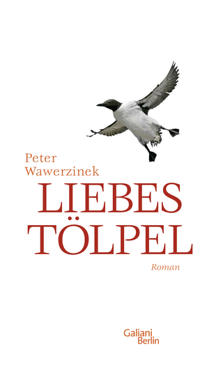 Buchcover von Liebestölpel