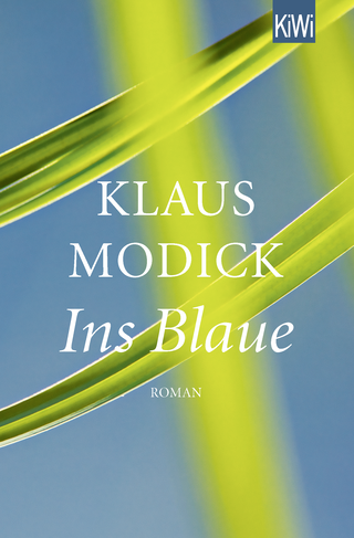Buchcover von Ins Blaue: Roman