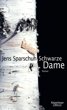 Buchcover von Black Lady: Roman von Jens Sparschuh