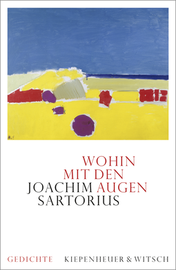 Buchcover von Wohin mit den Augen: Gedichte von Joachim Sartorius