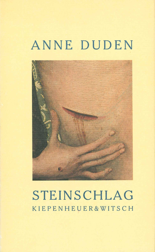 Buchcover von Steinschlag