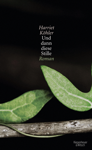 Buchcover von Und dann diese Stille: Roman