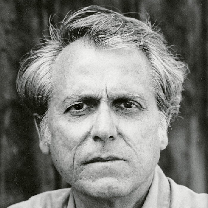 Portrait von Don DeLillo