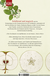 Zusatzmaterial 9783462041491 U4 von The Taste of Apple Seeds: Roman von Katharina Hagena