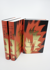 Zusatzmaterial PA 978 3 462 05276 3 innen 012 von Drei Kameradinnen: Roman von Shida Bazyar