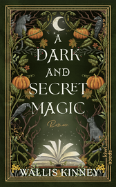 Buchcover von A Dark and Secret Magic: Roman von Wallis Kinney
