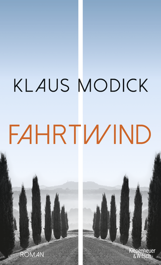 Buchcover von Fahrtwind: Roman