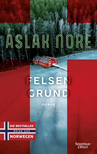 Buchcover von Felsengrund: Roman