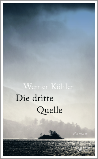 Buchcover von Die dritte Quelle: Roman