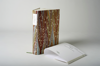 Zusatzmaterial PA 978 3 86971 170 6 innen 002 von Briefe von Laurence Sterne