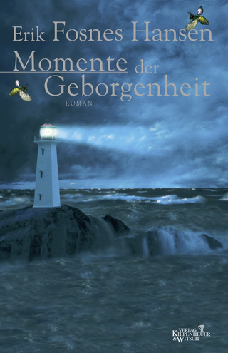 Buchcover von Momente der Geborgenheit: Roman