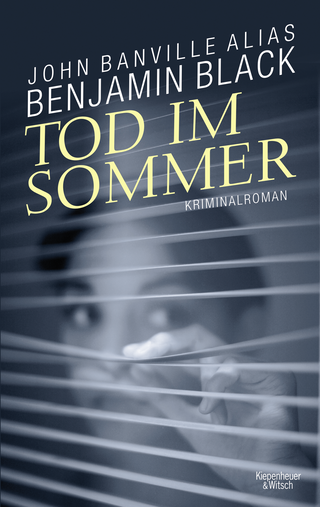 Buchcover von Tod im Sommer: Kriminalroman aus Dublin