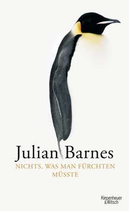 Buchcover von Nichts, was man fürchten müsste von Julian Barnes