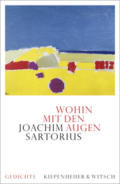 Buchcover von Wohin mit den Augen: Gedichte von Joachim Sartorius