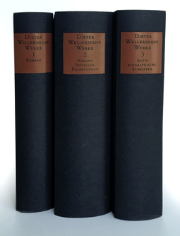 Buchcover von Werke: Bd 1-3 von Dieter Wellershoff