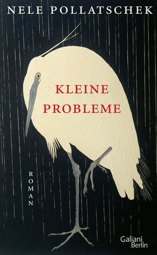Buchcover von Kleine Probleme: Roman