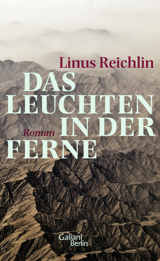 Buchcover von A Light in the Distance: Roman