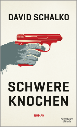Buchcover von Schwere Knochen: Roman von David Schalko