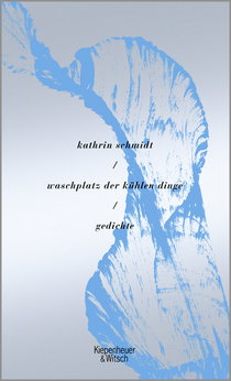 Buchcover von waschplatz der kühlen dinge: Gedichte von Kathrin Schmidt