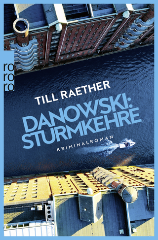 Buchcover von Danowski: Sturmkehre