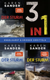 Buchcover von Der Sturm: Die Trilogie (3in1 Bundle) von Karen Sander