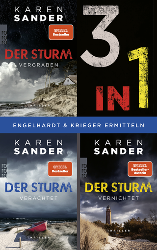 Buchcover von Der Sturm: Die Trilogie (3in1 Bundle)