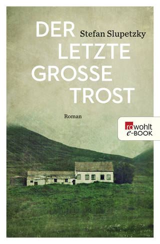 Buchcover von Der letzte große Trost