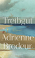 Buchcover von Das Sommerfest von Adrienne Brodeur