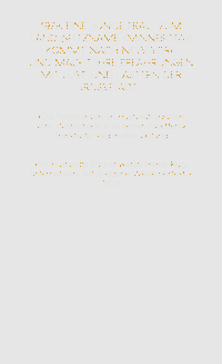 Zusatzmaterial 9783498030414 U4 von Damals von Siri Hustvedt