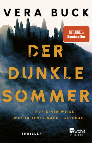 Buchcover von Der dunkle Sommer: Nur einer weiß, was in jener Nacht geschah.