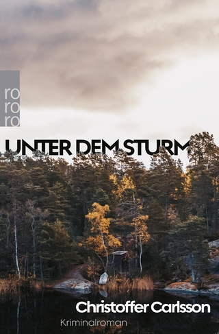 Buchcover von Unter dem Sturm