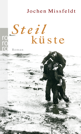 Buchcover von Steilküste: Ein See- und Nachtstück