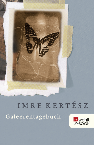 Buchcover von Galeerentagebuch