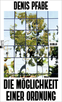 Buchcover von Die Möglichkeit einer Ordnung von Denis Pfabe