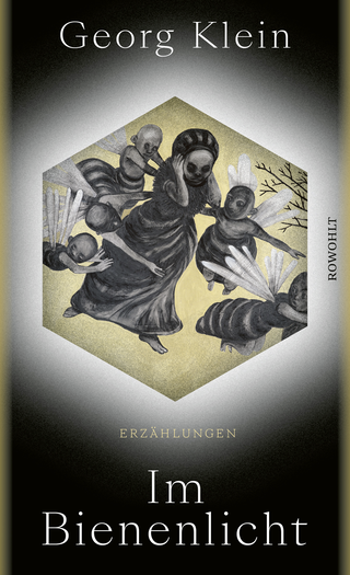 Buchcover von Im Bienenlicht: Erzählungen