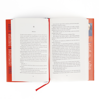 Zusatzmaterial PA 978 3 8052 0131 5 innen 034 von Schlafende Vulkane: Island-Thriller von Michael Hjorth, Bjarni Thorsson