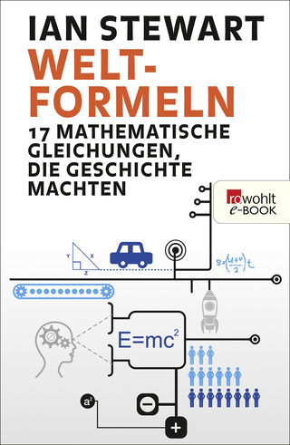 Buchcover von Welt-Formeln: 17 mathematische Gleichungen, die Geschichte machten