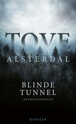 Buchcover von Blinde Tunnel von Tove Alsterdal