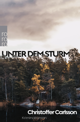 Buchcover von Unter dem Sturm von Susanne Dahmann
