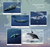 Zusatzmaterial U3 978 3 499 00664 7 von The Sea in your Heart von Kira Mohn