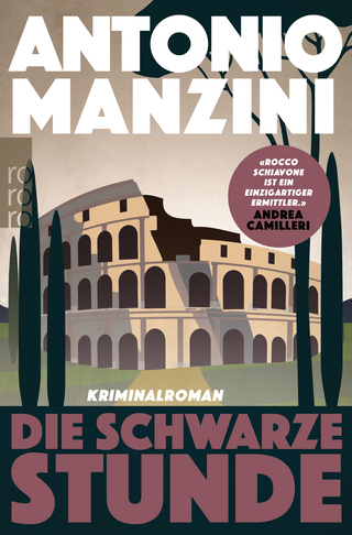Buchcover von Die schwarze Stunde
