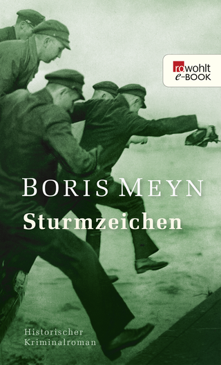 Buchcover von Sturmzeichen