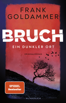 Buchcover von Bruch: Ein dunkler Ort von Frank Goldammer
