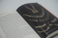 Zusatzmaterial PA 978 3 498 00301 2 innen 032 von THE MYSTERY OF THE SHAMAN – An Archaeological Journey to our Beginnings: Eine archäologische Reise zu unseren Anfängen von Harald Meller, Kai Michel
