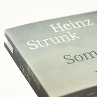 Zusatzmaterial PA 978 3 499 00885 6 innen 031 von Ein Sommer in Niendorf: Roman von Heinz Strunk